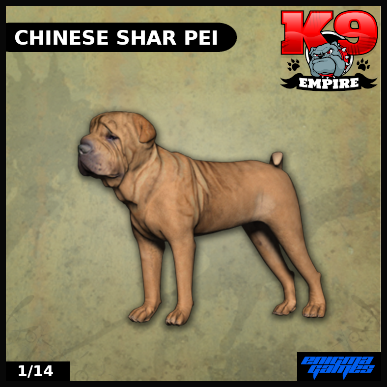 Chinese Shar Pei