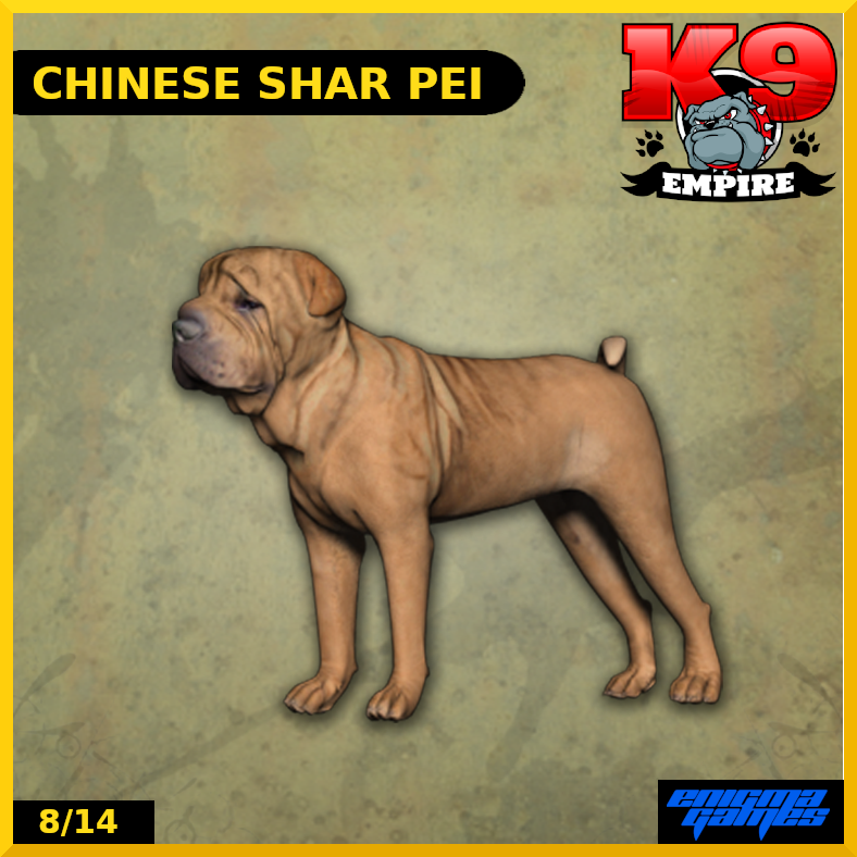 Chinese Shar Pei