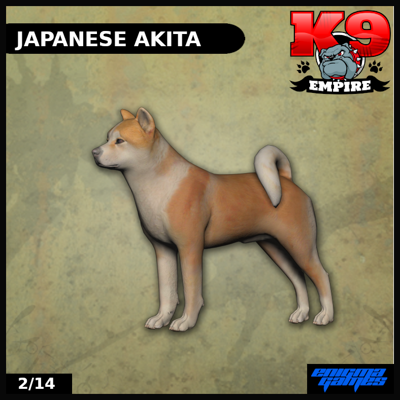 Japanese Akita