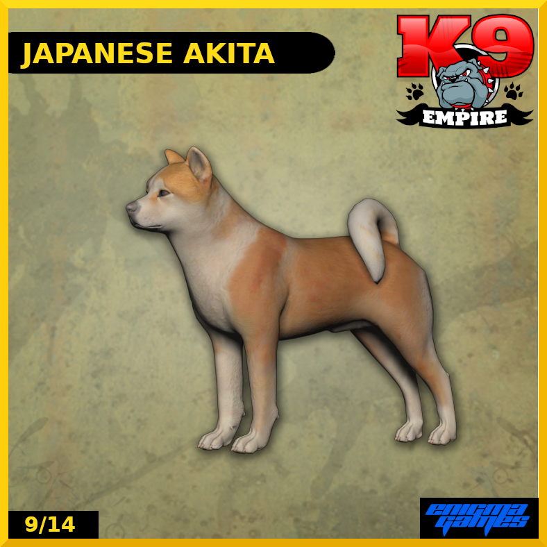 Japanese Akita