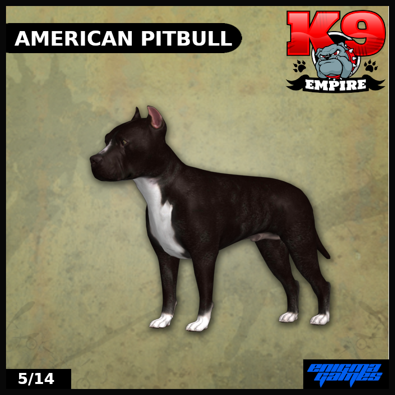 American Pitbull