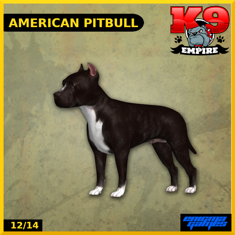 American Pitbull