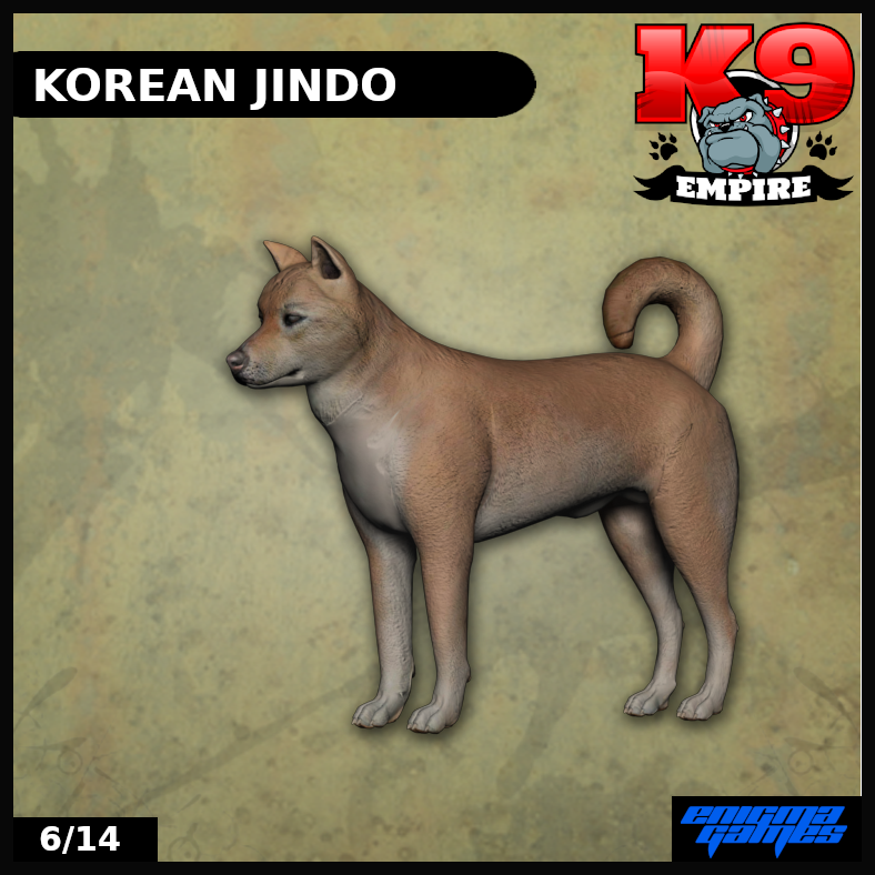 Korean Jindo