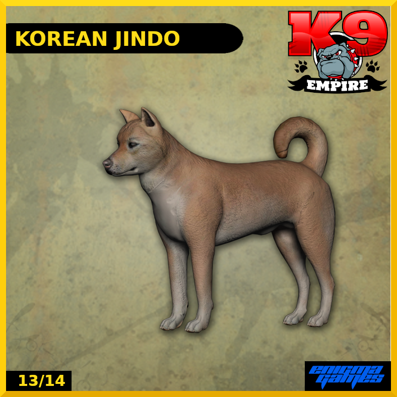 Korean Jindo