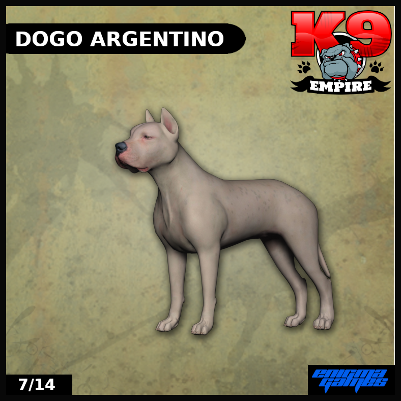 Dogo Argentino