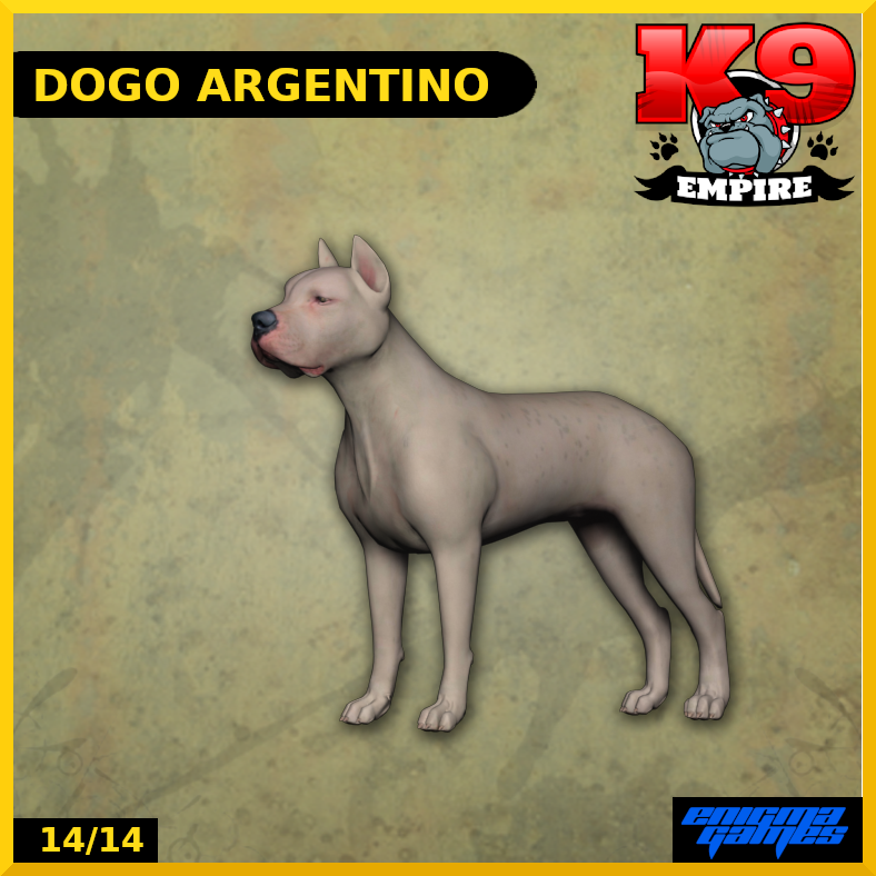 Dogo Argentino